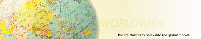 WORLDWIDE - We are striving to break into the global market.